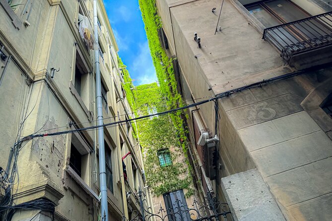 3-Hour Private Guided Walking Tour of Barcelona - Cathedral Square and Casa de l’Ardiaca