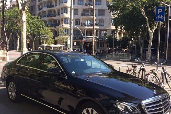 8-Hour Barcelona Private Tour - Park Güell and Casa Vicens
