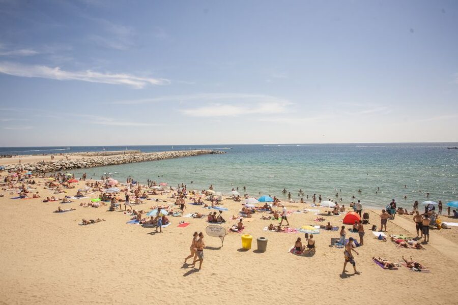 Barcelona: 2-Hour City Sights Guided Segway Tour - The Olympic Port and Barcelona after 1992