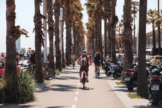 Barcelona 3-hour Bike or E-Bike Tour: Highlights and Hidden Gems - Reaching the Sagrada Família by bicycle