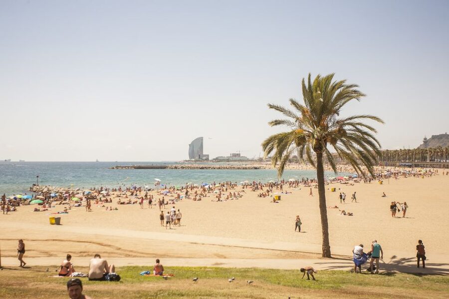 Barcelona: 3-Hour Segway Sightseeing Tour - Ciutadella Park and the Arc de Triomf