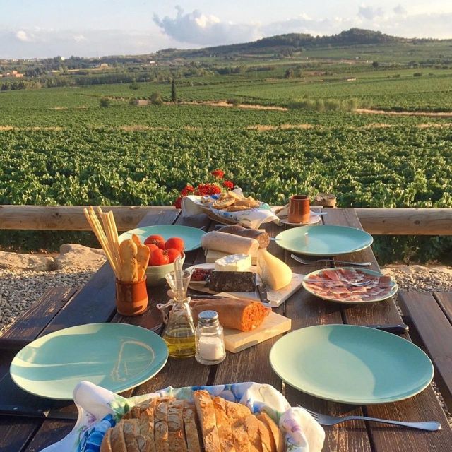 Barcelona: 3 Penedes Wineries with Hotel Pick-up and Lunch - First stop: biodynamic wine and a ninth-generation cellar