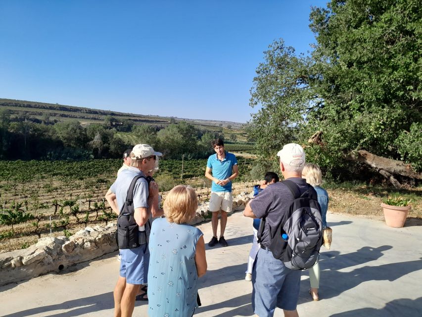 Barcelona: 3 Penedes Wineries with Hotel Pick-up and Lunch - What the $206 price really covers