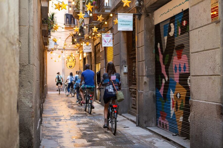 Barcelona: 4-Hour Small Group Bike Tour - Starting at the Olympic port