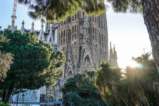 Barcelona all included: Sagrada, Park Güell, Montjuic & Gothic - Lunch in a local restaurant, with the bill separate
