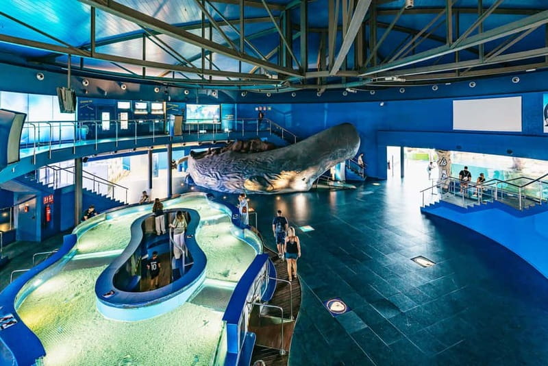 Barcelona Aquarium: Entry Ticket - What the aquarium does especially well