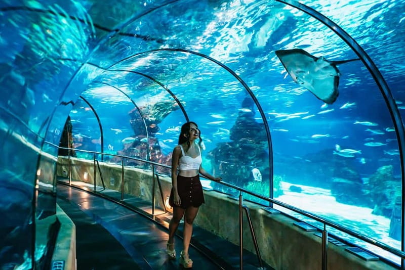 Barcelona Aquarium: Entry Ticket - Planeta Aqua gives children a reason to stay engaged