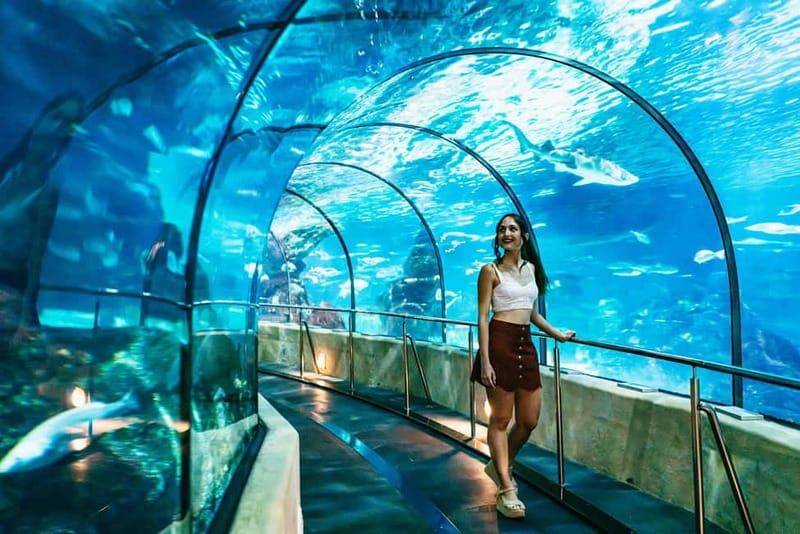 Barcelona Aquarium: Entry Ticket - How long should you spend inside?