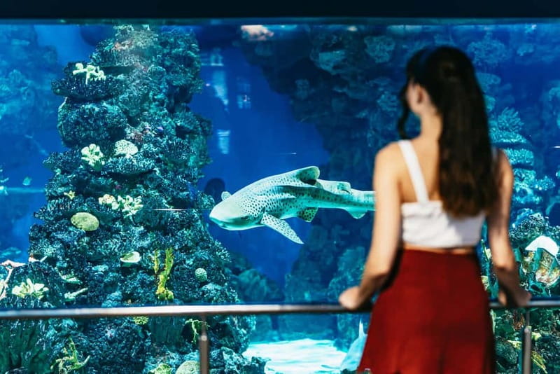 Barcelona Aquarium: Entry Ticket - Is the $31 ticket good value?