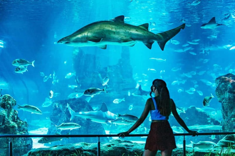 Barcelona Aquarium: Entry Ticket - Port Vell makes the location useful