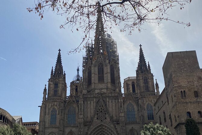Barcelona: Bar Crawl at Gaixample - Practical details before you go