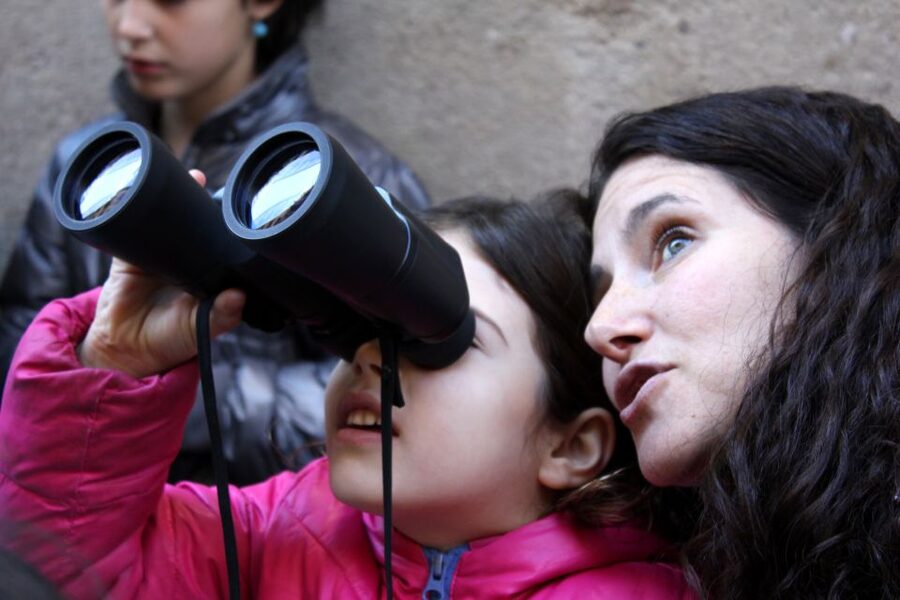 Barcelona: Barrio Gótico Dragon Tour for Families - Price, private groups, and value
