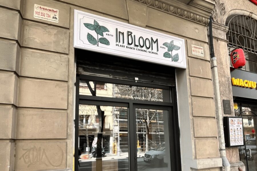Barcelona: Catalan Cuisine cooking course 100% vegan - Who will get the most from this class