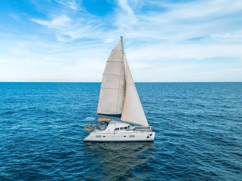 Barcelona: Catamaran Cruise w/ Sailing, Wine, & Tapa - Montjuïc and the skyline from offshore