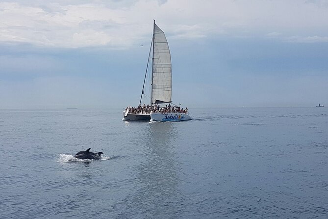 Barcelona Catamaran Party Tour For Young People - Is $60.24 a fair price?