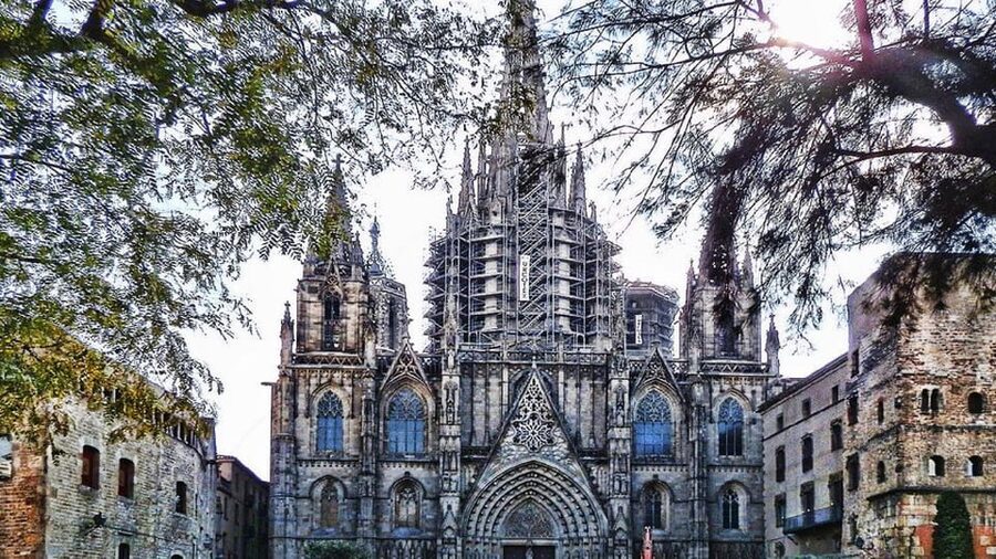 Barcelona Cathedral: Exclusive walking tour & entry tickets. - Rooftop views over Barcelona