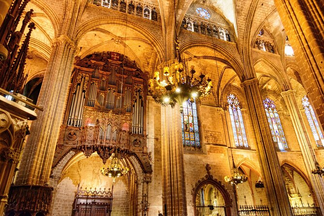 Barcelona Cathedral: Ticket, Guided Tour, Terrace + VR Experience - Meeting at Pcta. de la Seu 7
