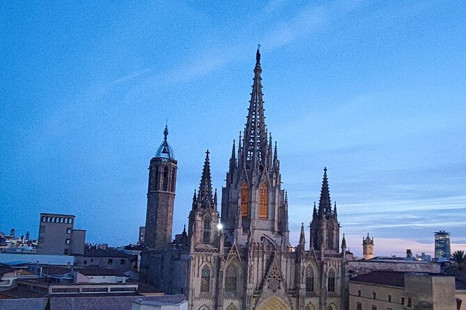 Barcelona Christmas Walking Tour - Starting beneath the Christmas tree at Plaça de Sant Jaume