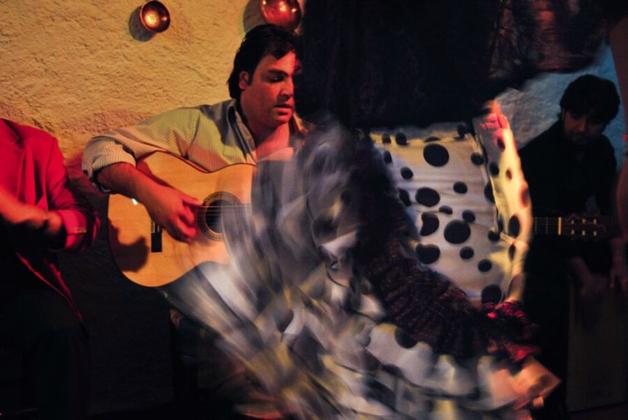 Barcelona: City Tour & Flamenco Show with Wine & Tapas - Who will enjoy this Barcelona evening