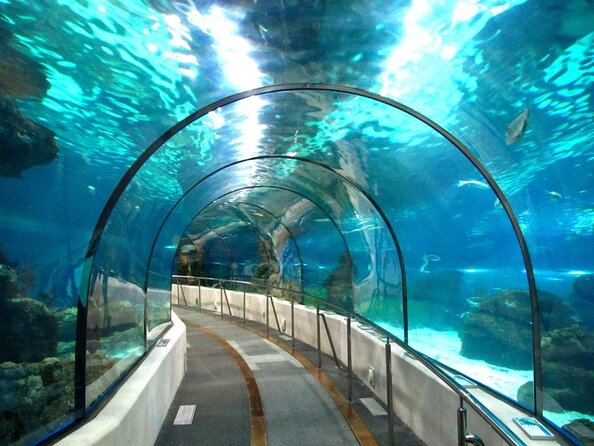 Barcelona City Tour Hop-On Hop-Off and Aquarium - Key points to know before you go