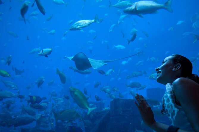 Barcelona City Tour Hop-On Hop-Off and Aquarium - Why this bus tour makes sense in Barcelona