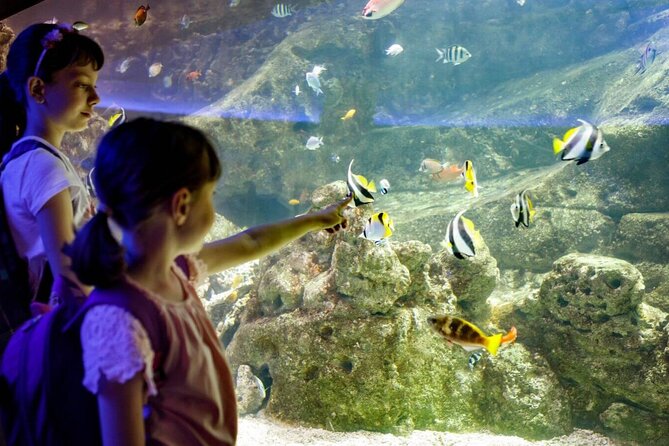 Barcelona City Tour Hop-On Hop-Off and Aquarium - Who will get the most from this experience?
