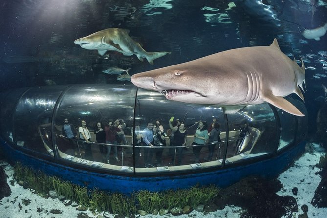 Barcelona City Tour Hop-On Hop-Off and Aquarium - The orange route from the port to Montjuïc and Camp Nou
