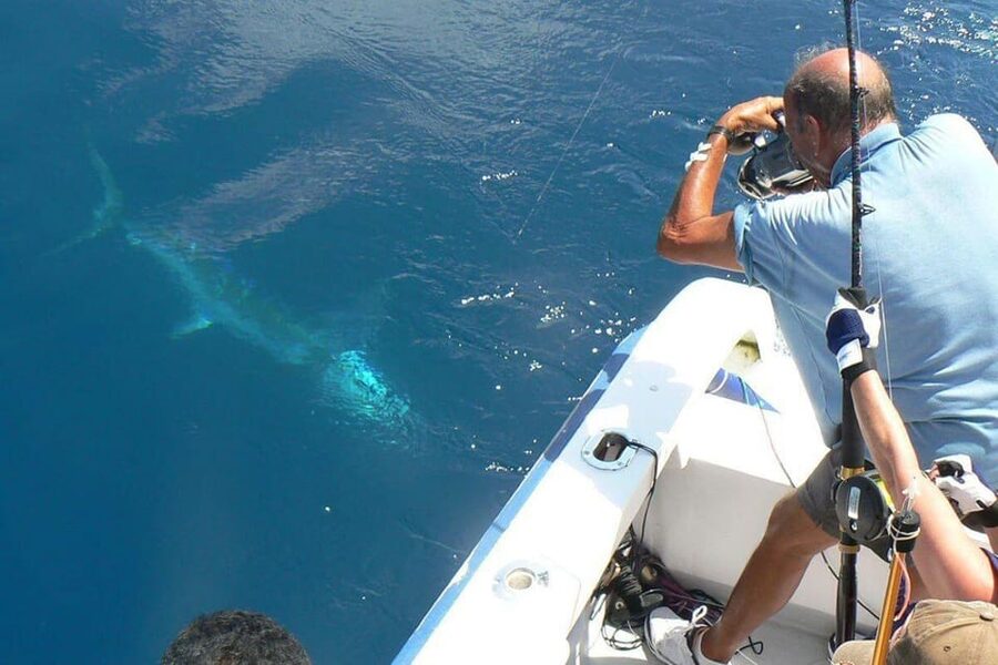 Barcelona: Coastal Fishing Trip - Winter fishing targets the seafloor