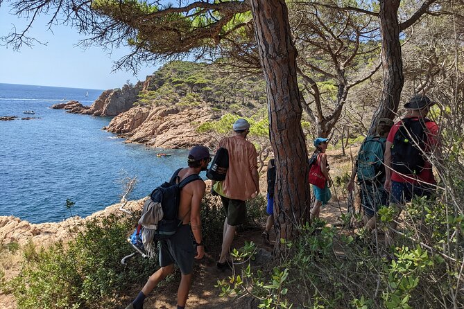 Barcelona: Costa Brava Easy Hike, Snorkel, Cliff-Jump & Meal - Beaches, coves, and the classic promenade