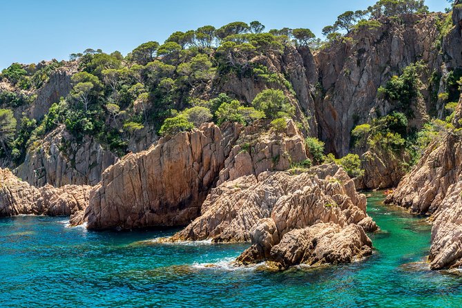 Barcelona: Costa Brava Easy Hike, Snorkel, Cliff-Jump & Meal - The guides make a practical difference
