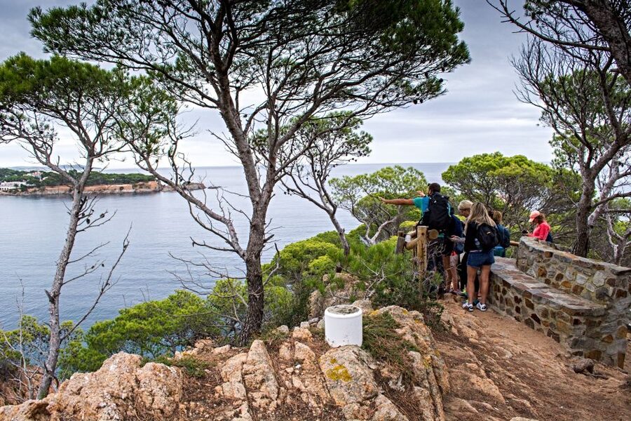 Barcelona: Costa Brava Hiking, Sea Kayaking & Lagoon Dipping - Why This Costa Brava Day Works So Well