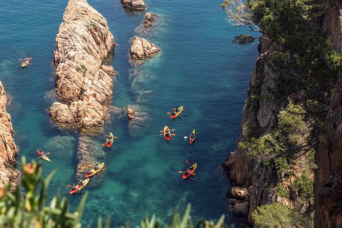 Barcelona Costa Brava Kayak, Snorkel & Cliff Jump Day Tour - Snorkeling among fish, starfish, and octopus