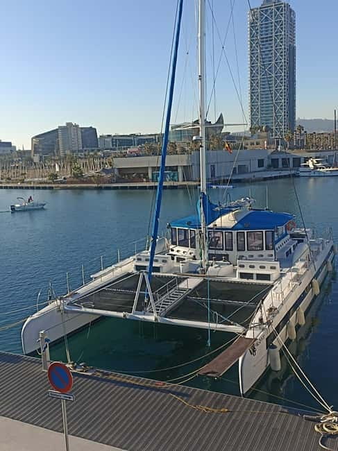 Barcelona: Daytime or Sunset Cruise with Drinks - Who should book this cruise?
