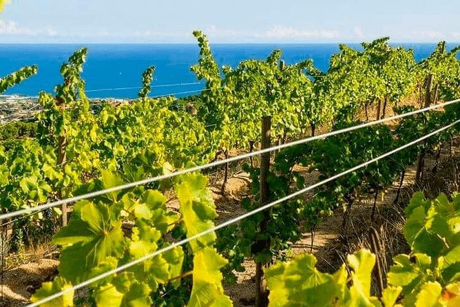 Barcelona eBike Beach Private Tour to Vineyards & Picnic - The train ride back with your eBike