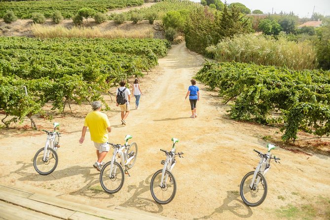 Barcelona eBike Beach Private Tour to Vineyards & Picnic - Who will enjoy this ride most