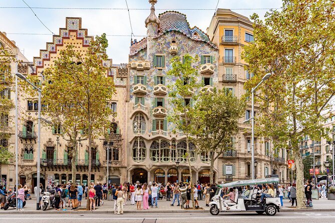 Barcelona Expert Tour with Local Guide in Eco Tuk Tuk Private - The two-hour route and Montjuïc