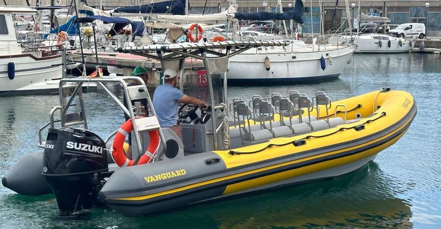 Barcelona: Fast Skyline Cruise - The harbor section lets you settle in