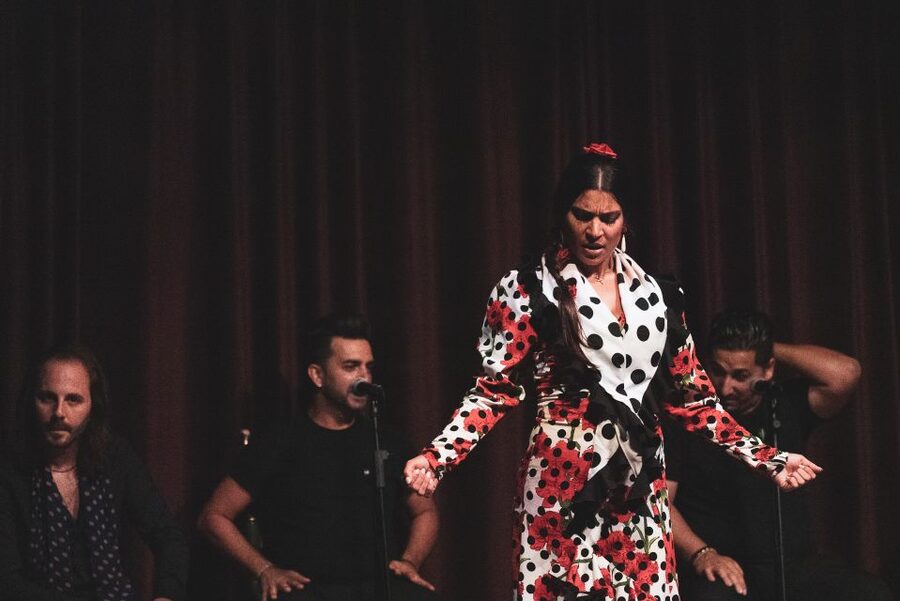 Barcelona: Flamenco Show at Palau Dalmases - Entering Palau Dalmases in El Born
