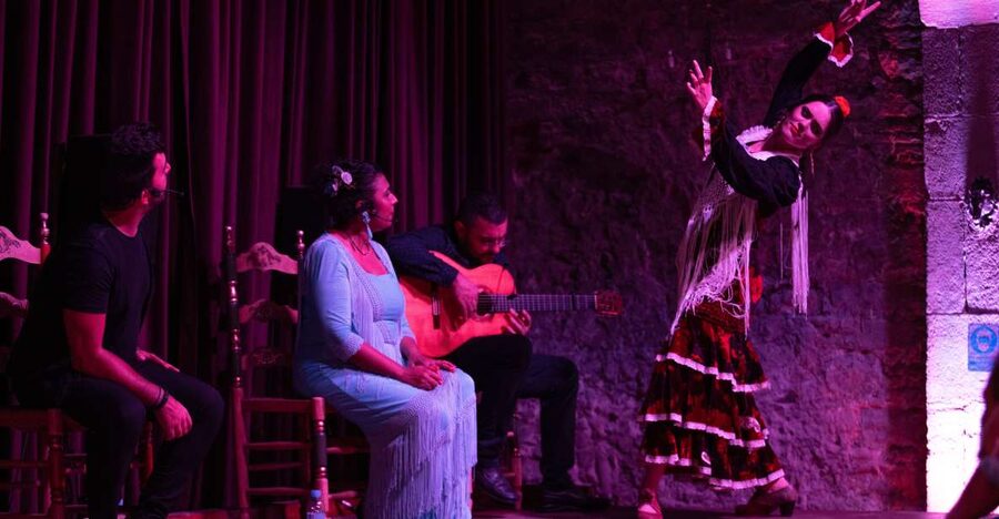 Barcelona: Flamenco Show at Palau Dalmases - The 50 to 55 minute performance