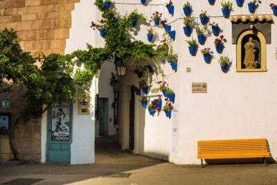 Flamenco Show with Dinner at Tablao de Carmen