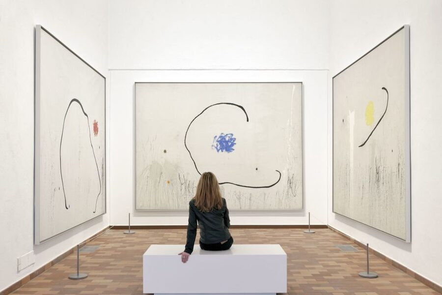Barcelona: Fundació Joan Miró Skip-the-Line Entry Ticket - Practical tips for a better visit