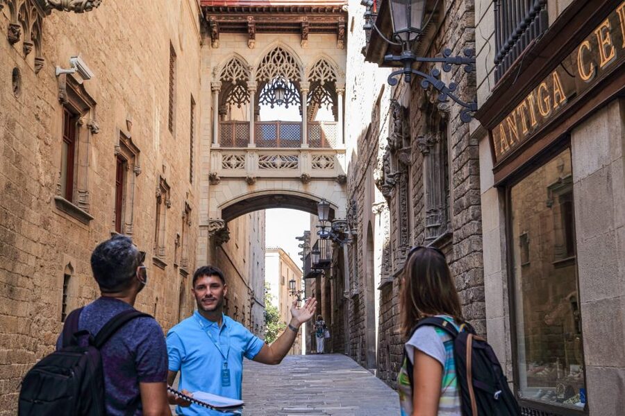 Barcelona: Gothic Quarter Guided Tour with Flamenco & Tapas - Plaça del Rei and the Gothic Quarter after dark