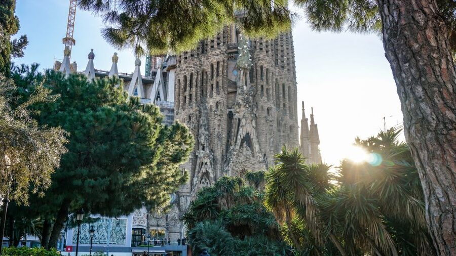 Barcelona: Gothic Quarter & La Sagrada Familia Private Tour - A seven-hour introduction to Barcelona