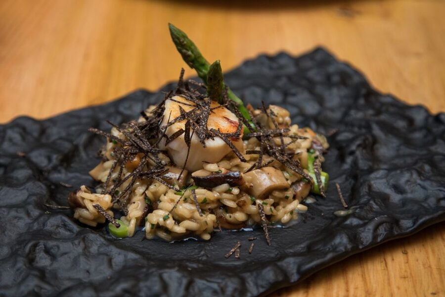 Barcelona Gourmet Food & Wine Tour with Local Expert - What the food and wine program really includes
