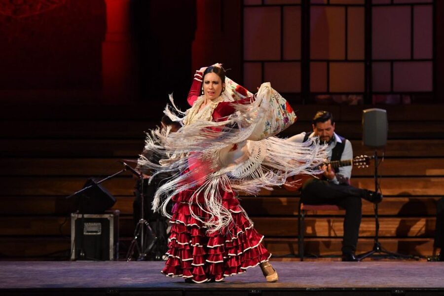 Barcelona: Gran Gala Flamenco Show Entry Ticket - What the Gran Gala Flamenco show is like