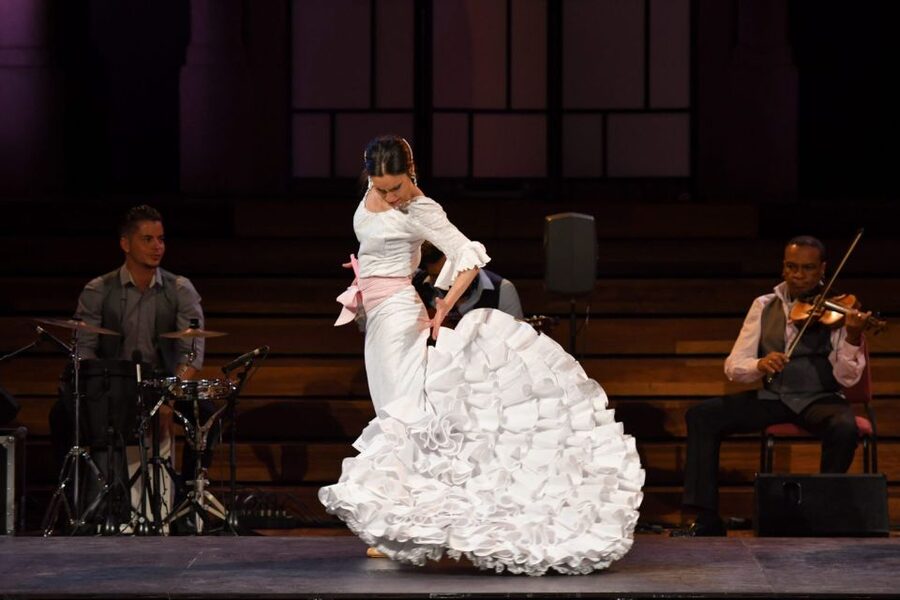 Barcelona: Gran Gala Flamenco Show Entry Ticket - The music, dancers, and visual drama