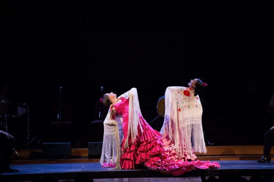 Barcelona: Gran Gala Flamenco Show Entry Ticket - Seating, sightlines, and comfort