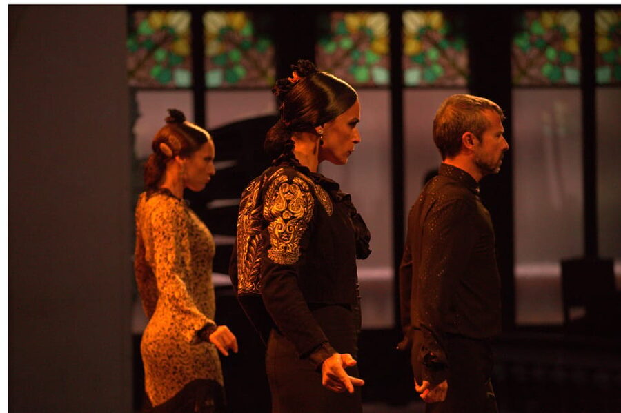 Barcelona: Gran Gala Flamenco Show Entry Ticket - Choosing between the Palau and Teatre Poliorama