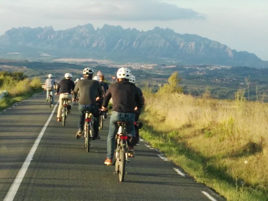 Barcelona: Guided Half-Day Wine and Electric Bike Tour - Should you book the Penedès e-bike tour?