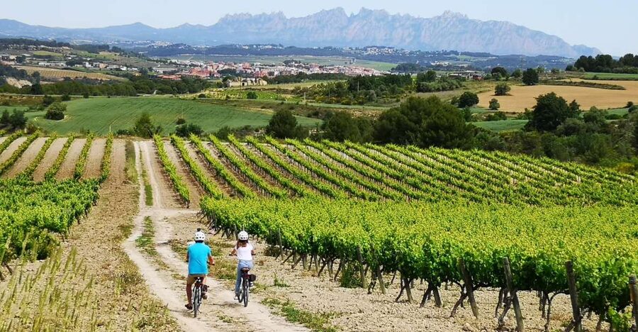 Barcelona: Guided Half-Day Wine and Electric Bike Tour - Why Penedès makes a good half-day escape